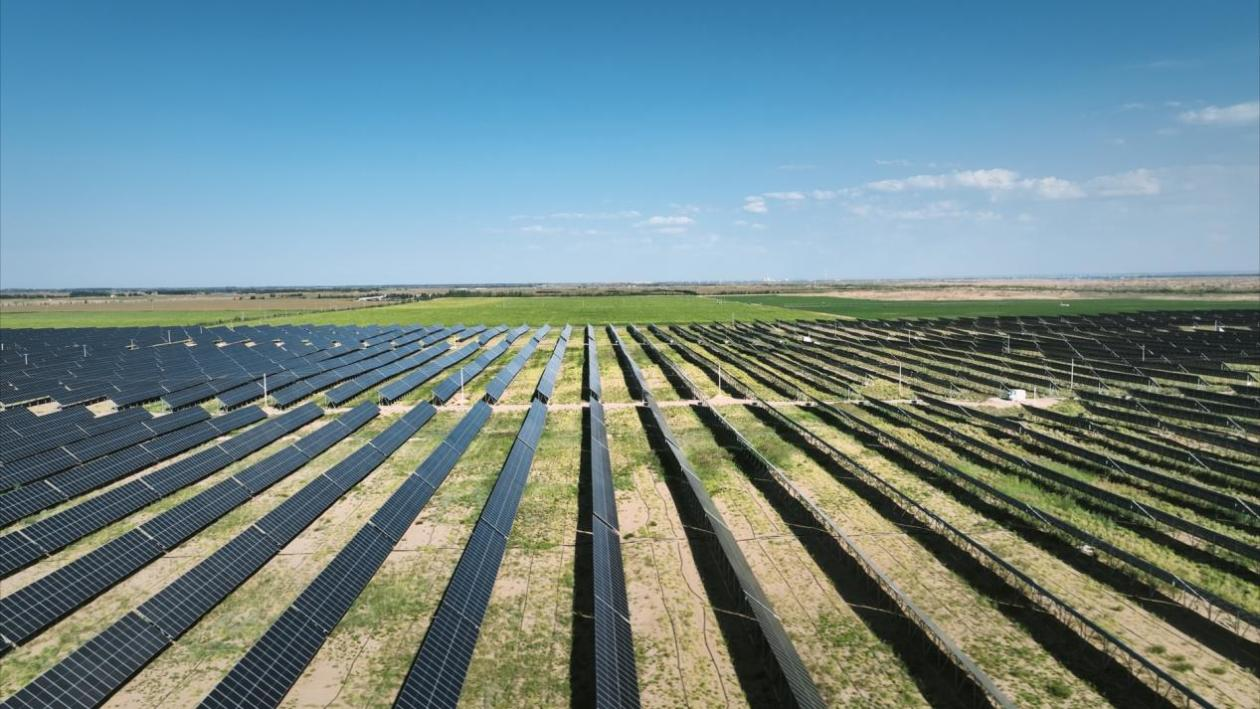 首页- 人生就是博中国官方网站