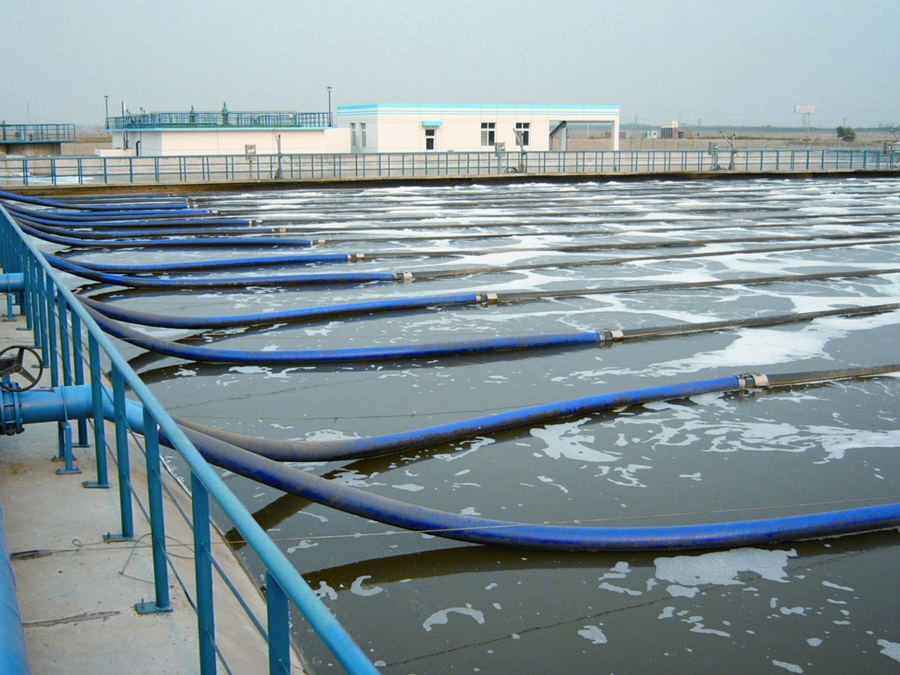 首页- 人生就是博中国官方网站