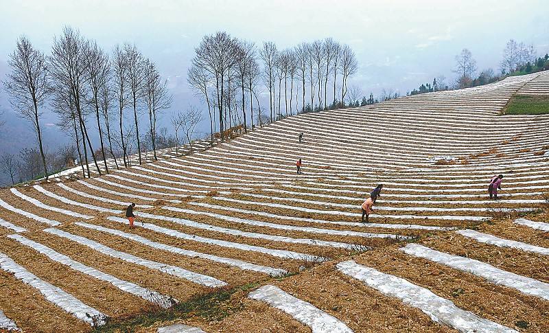 首页- 人生就是博中国官方网站